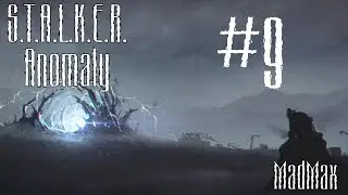 STALKER: Anomaly. Часть 9 - Путь к учёным