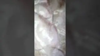 Мои фигурки из игры SCP