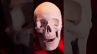 Subscribe or else 💀