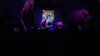 Dobermann Rock Steady Live 