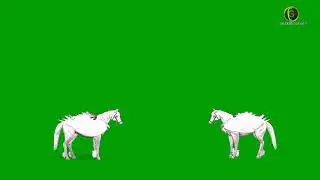 Pegasus Green Screen (2024)