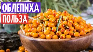 Облепиха польза и вред I Herbals-ua.com