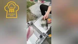 Шкуросъемная машина для рыбы Fish-260SR