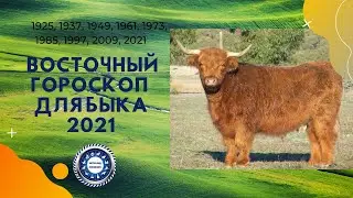 Восточный гороскоп для Быка на 2021 год