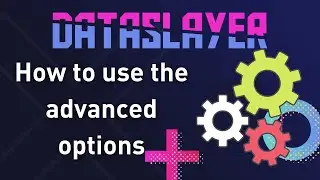 How to use the advanced options in Dataslayer.ai