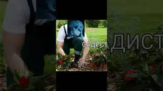 КАК Я СТАНОВЛЮСЬ СТЕНОМ ДОТТОРЕ 