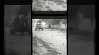 ПРОСТО КРАСИВАЯ ЛОШАДКА😶😶😶