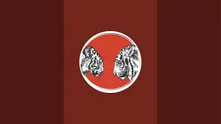 Дом Тигра - Tiger House в прямом эфире!