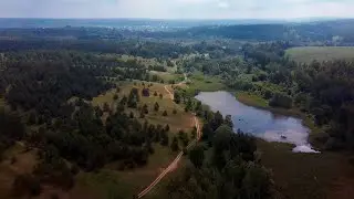 Сосновый бор в Старой Бинарадке / Самарская область / Съёмка с квадрокоптера / 4K