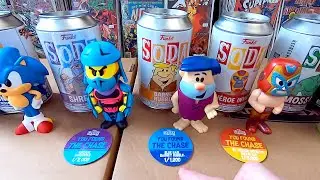 I purchased a $2000 Funko Soda Collection full of Chase figures
