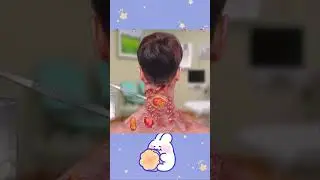 Jadi sarang tomcat |Mv 