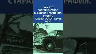 "Вау, это совершенство!" Вышивка крестиком. Риолис "Старая фотография. Жук"