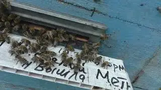 ВРЕМЯ НА ОБЪЕДИНЕНИЕ