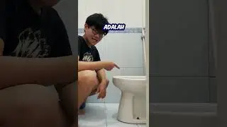 Kasih Roshade Ke Toilet Jadi SKIBIDI ?