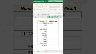 Excel trick to Pad Numbers with a character