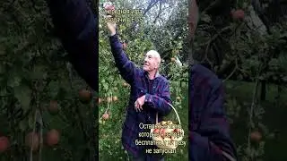 Геймерские мемы
