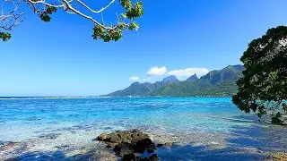 Blue Waters: Calming Scenery From Moorea