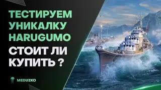 УНИКАЛЬНЫЙ HARUGUMO ● ПОСЛЕ БОЛЬНИЧКИ