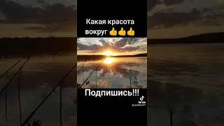 Какая красота 👍👍👍!!! Любимое дело!!! #клубрыбаков #изюм #рыбалка #отдых #shortsvideo#shorts#природа