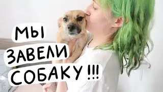 Чуня!!