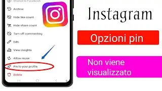 Opzioni pin post Instagram non visualizzate 2024