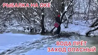 РЫБАЛКА на ОКЕ / ВОДА в СИЛЬНОМ Подъёме / Заходим на ЛЁД по Веткам