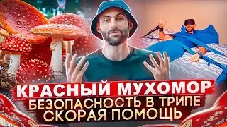 Секреты Красного Мухомора | Безопасность в трипе | Скорая помощь