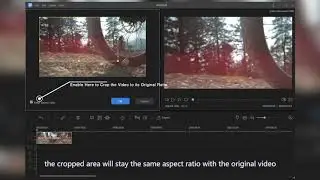 How to Crop a Video in EaseUS Video Editor