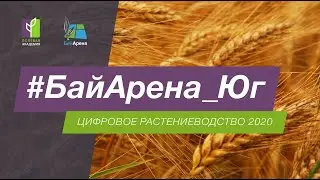 БайАрена Юг 2020