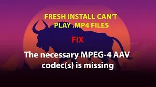 UBUNTU FIX: The necessary MPEG-4 AAV codec(s) is missing