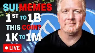 SUI 1B Meme Coin Journey 1K to 1M 