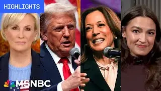 Countdown to the 2024 election: Day 4 | MSNBC Highlights