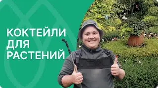 Готовим питательные антистрессовые коктейли для растений!