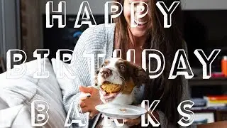 our fur child turned one