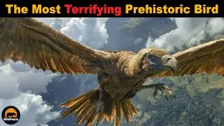 Argentavis – The Most Terrifying Prehistoric Bird