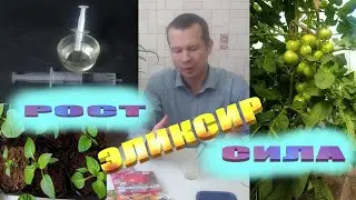 Как приготовить природный стимулятор роста для растений в домашних условиях своими руками