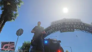 LSPDFR - Stolen Vehicle Task Force!