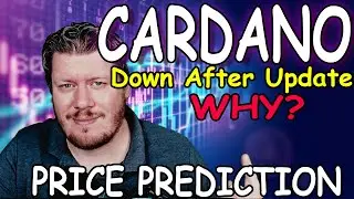 Cardano Price Drop After Alonzo Update ADA Price Prediction