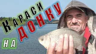 Ловля весеннего карася на убийцу карася.
