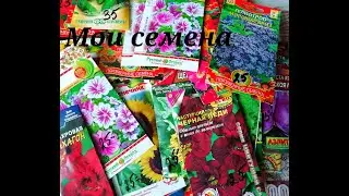 Купила семена. Обзор купленных семян