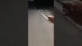 Узнал об измене перед свадьбой.
