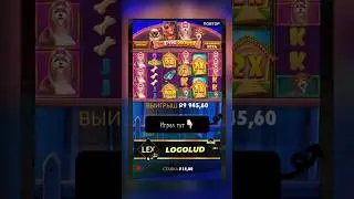 ЗАКРЫЛ РОЗОВЫХ СОБАК! ЗАНОС В THE DOG HOUSE! #casino #maxwin #zeusvshades #ludojop #vitus