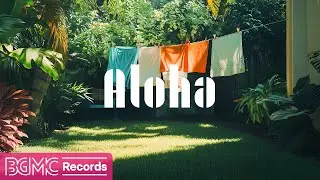 Hawaiian Music for a Calm Morning: Relax and Unwind in a Peaceful Tropical Backyard | BGM for Work