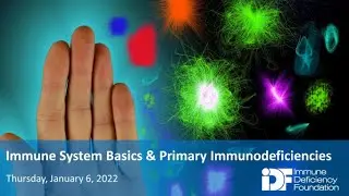 Immune System Basics & Primary Immunodeficiencies: An IDF Forum, January 6, 2022