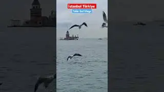 Istanbul Turkey Video By Tahir Gul Vlogs #tahirgulvlogs #tahirgul #istanbul #turkey #türkiye #vlogs