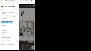 Разбор интернет-магазинов на платформе InSales №24