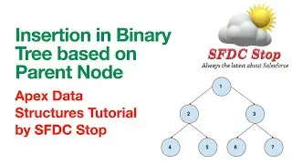 Insertion in Binary Tree based on parent node | Custom comparator in Apex | Apex Data Structures
