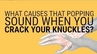 What happens to your joints when you crack your knuckles