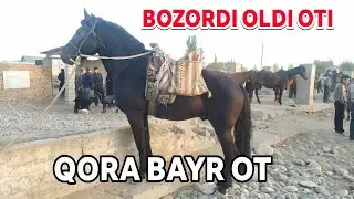 QORA BAYIR OT NEGA SOTILMADI ! SURXONDARYO SARIOSIYO OT BOZORI 14-Oktyabr 2021