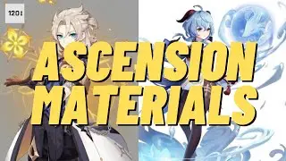 Albedo & Ganyu Materials for ASCENCION Genshin Impact